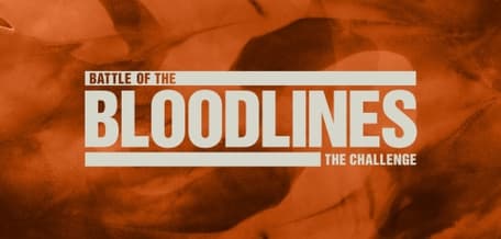 The Challenge season 27